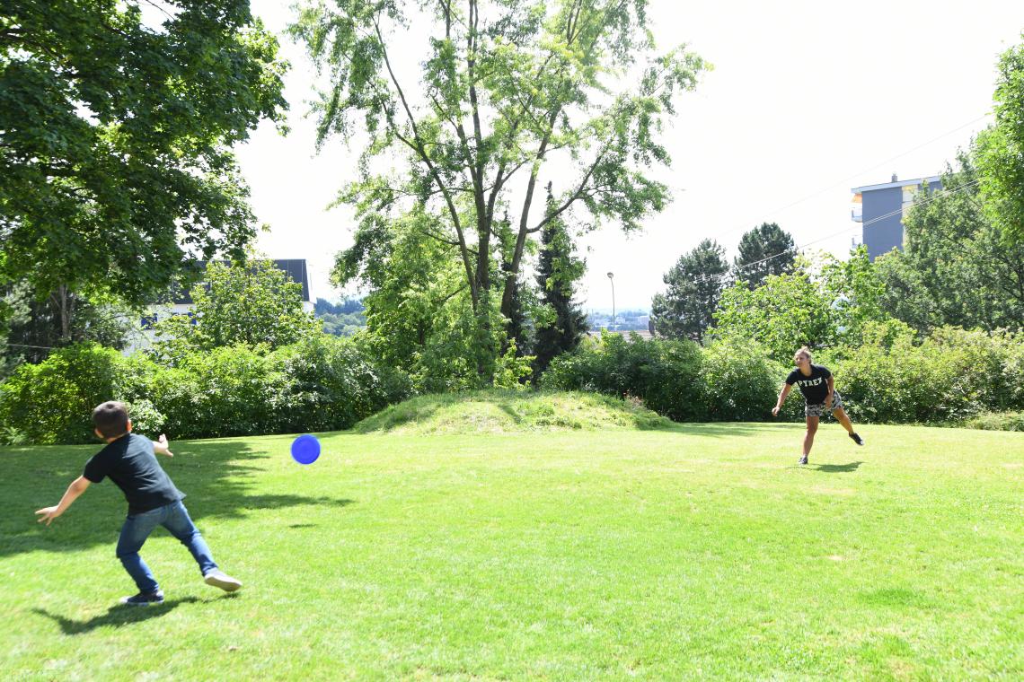 Parc du petit Renard 