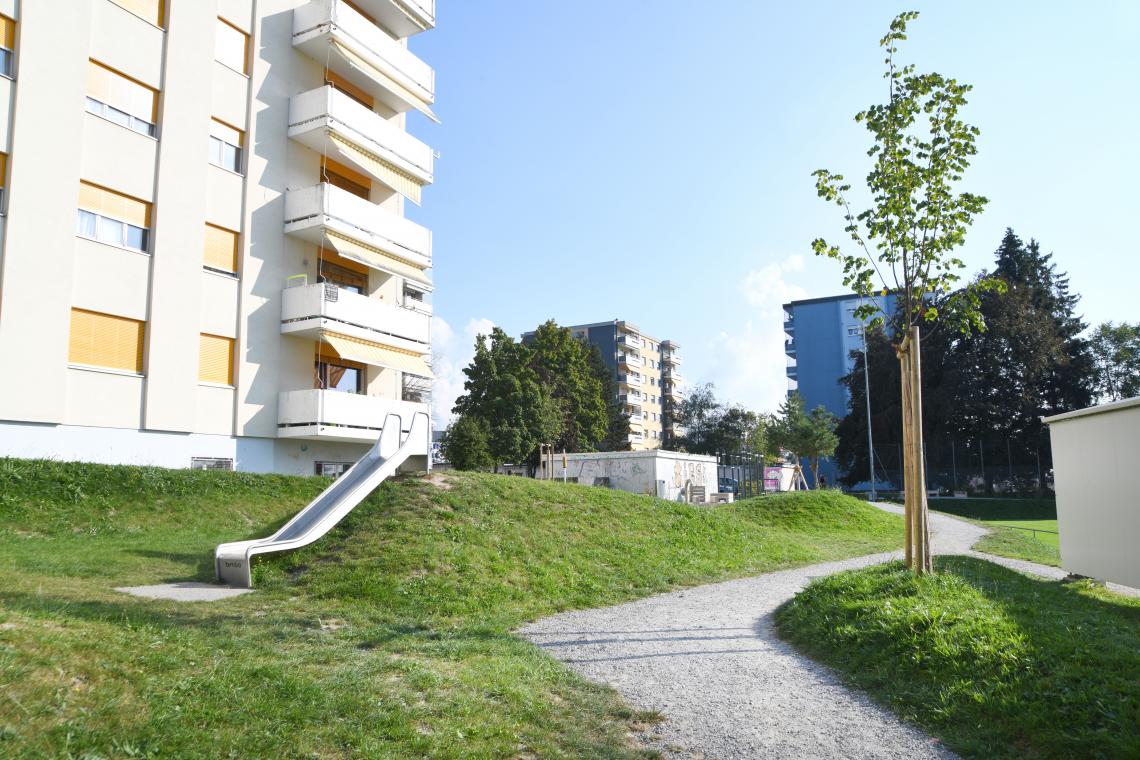 Photo de l'aménagement 