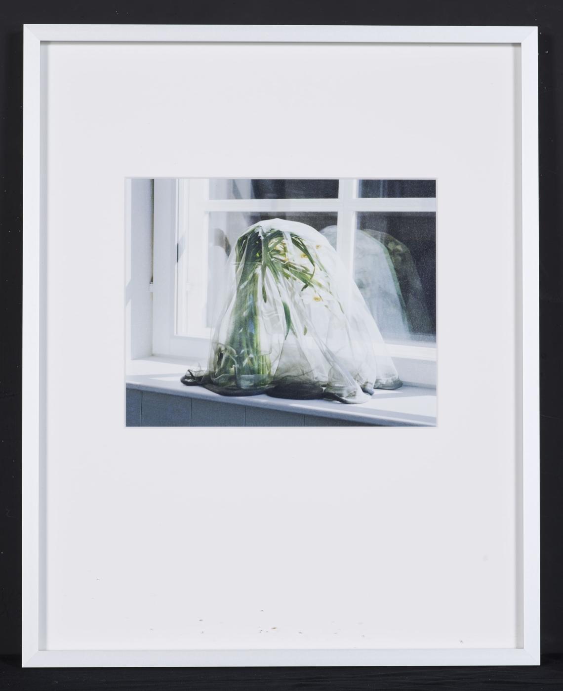 Aruna Canevascini, Pourquoi si je suis la j'ai envie d'être ailleurs et si je suis ailleurs j'ai envie d'être là ? 