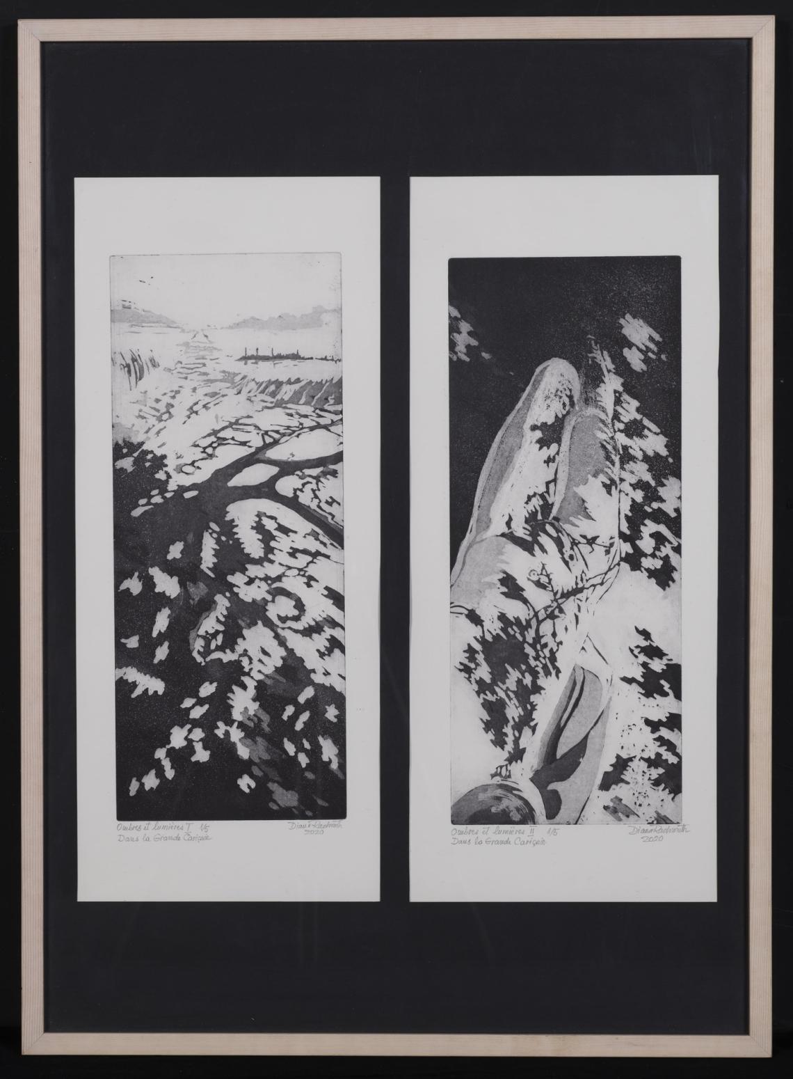 Diana Rachmuth, Ombres et lumières I et II 