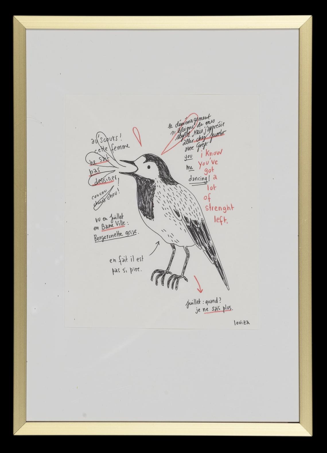 Louiza Becquelin, Bergeronnette grise