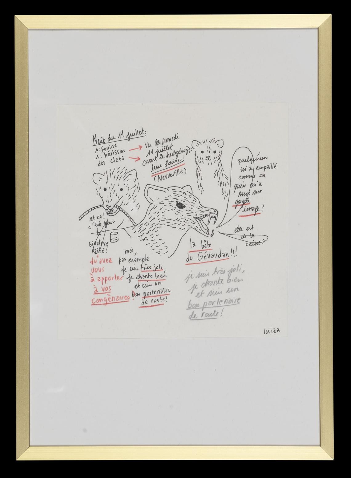 Louiza Becquelin, La fouine bon partenaire de route