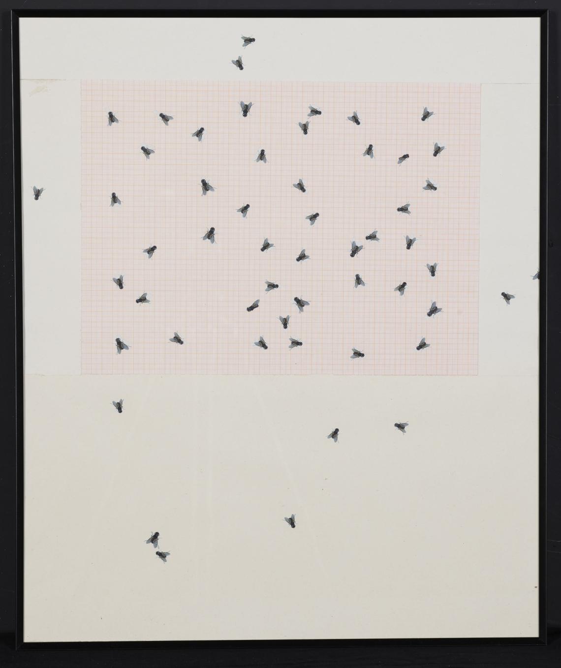 Marie Gyger, Les mouches II