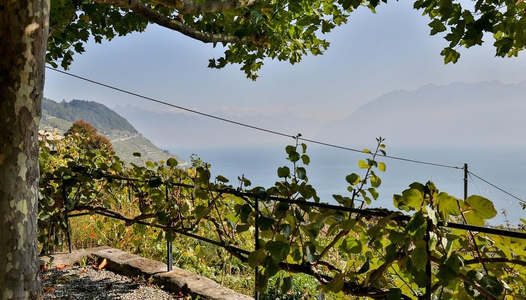 Carnotzet de la Bourgeoisie