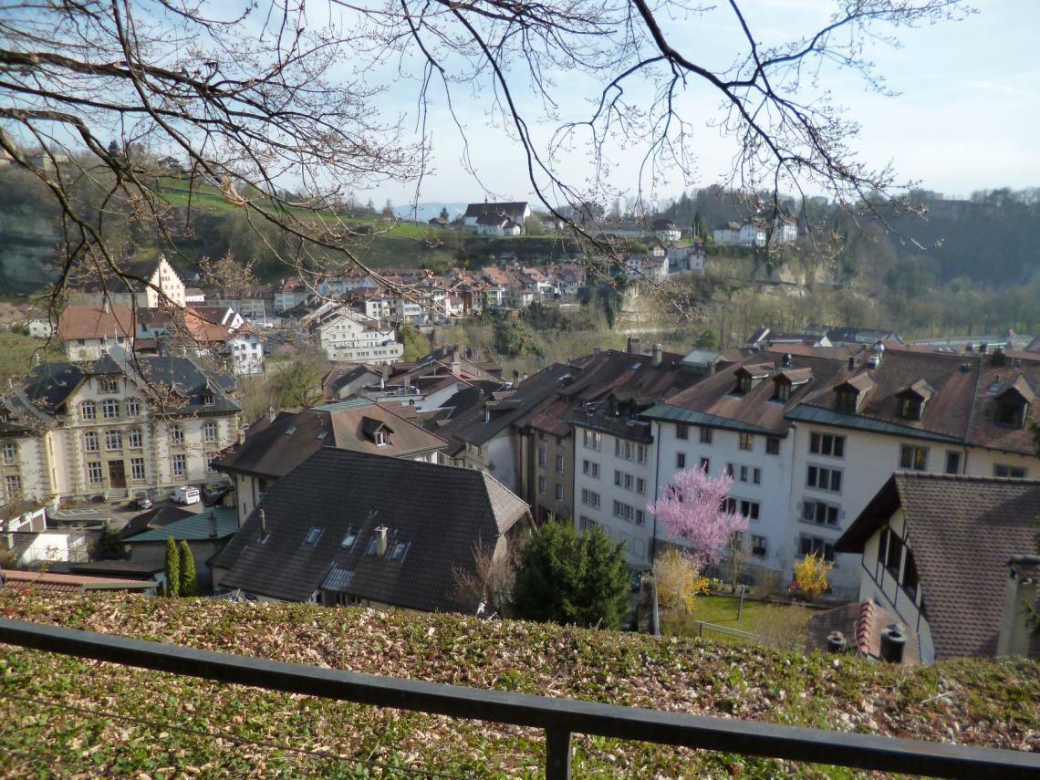 Vue sur Fribourg
