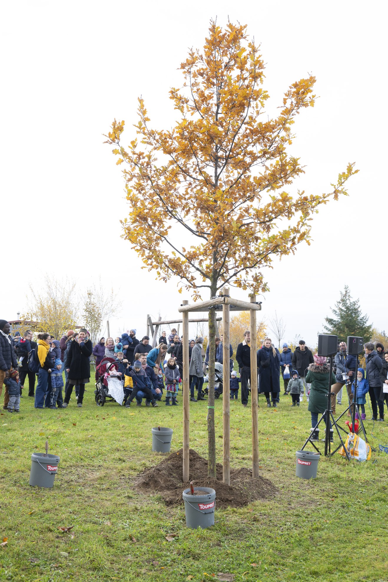 Un arbre pour votre enfant 2023