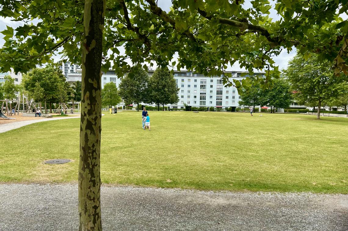 La journée est gratuite et ouverte à toutes et à tous